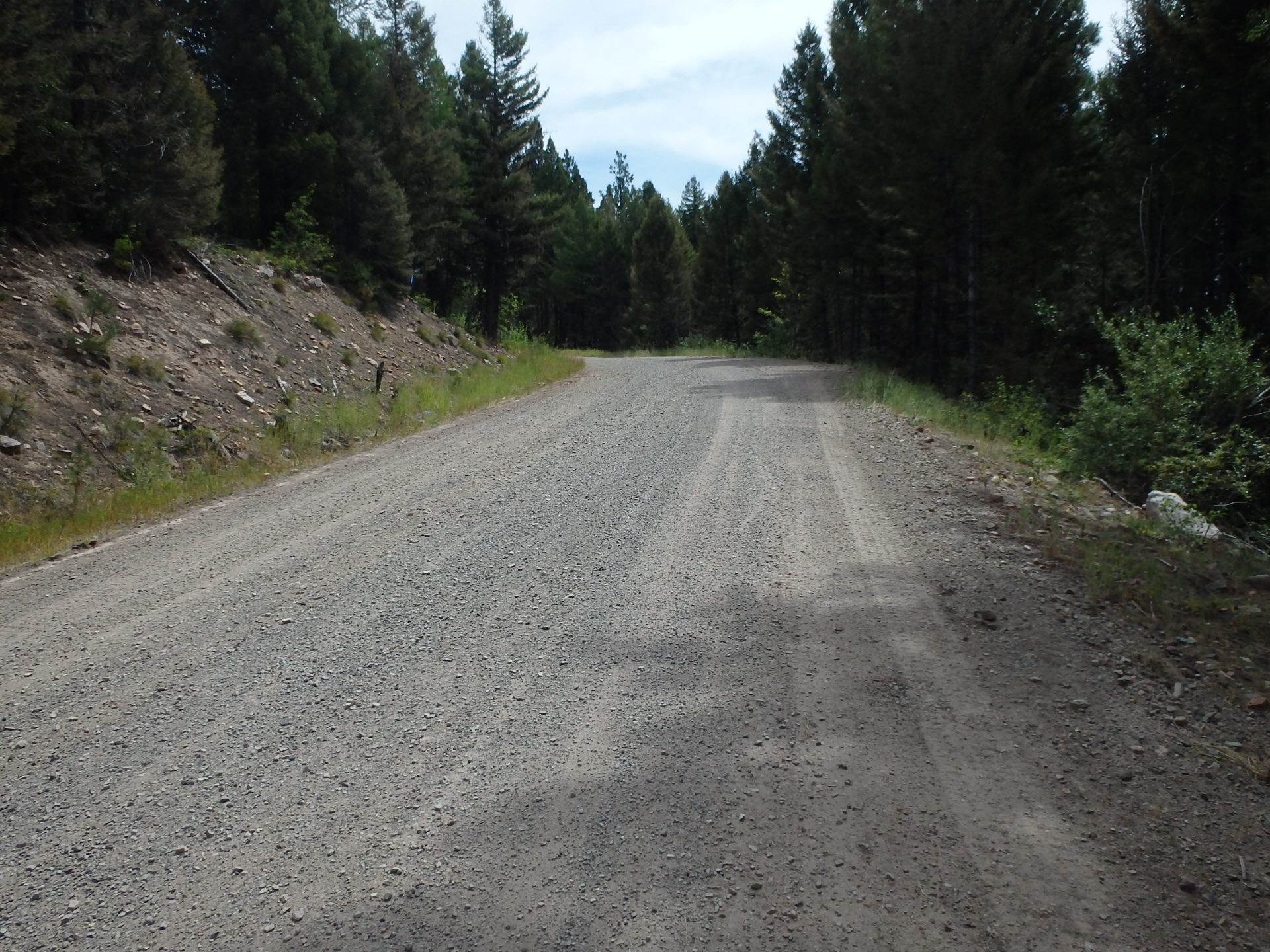 GDMBR: Heading down NF-477 to Ovando, MT.